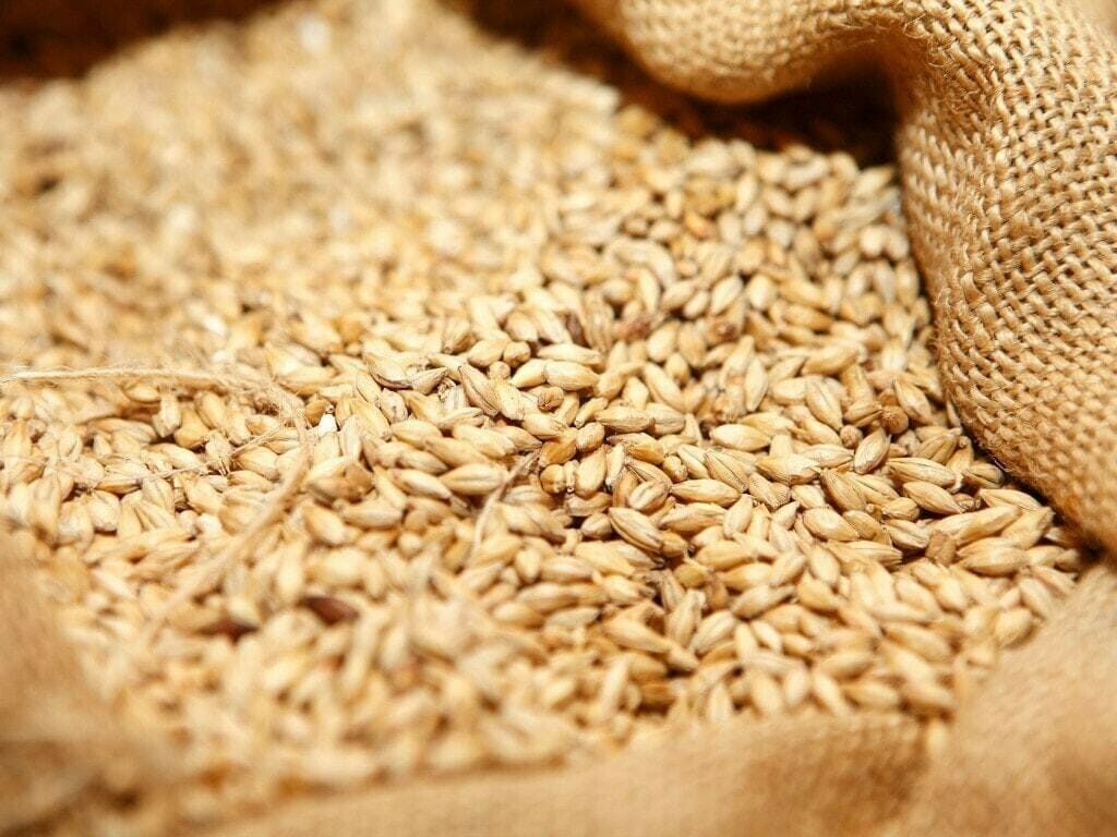 PTI Leader Alleges caretaker government  figure earns 85 billion through wheat import