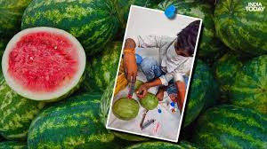 Experts expose watermelon injection claims as disinformation campaign