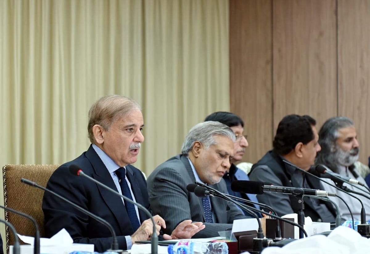 Shehbaz Sharif Govt Delays Austerity Measures, Forms New Committee for recommendations