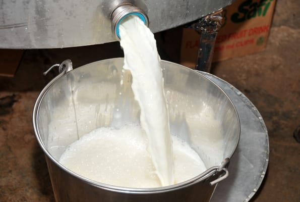 Contaminated milk claims lives of two girls in Sahiwal