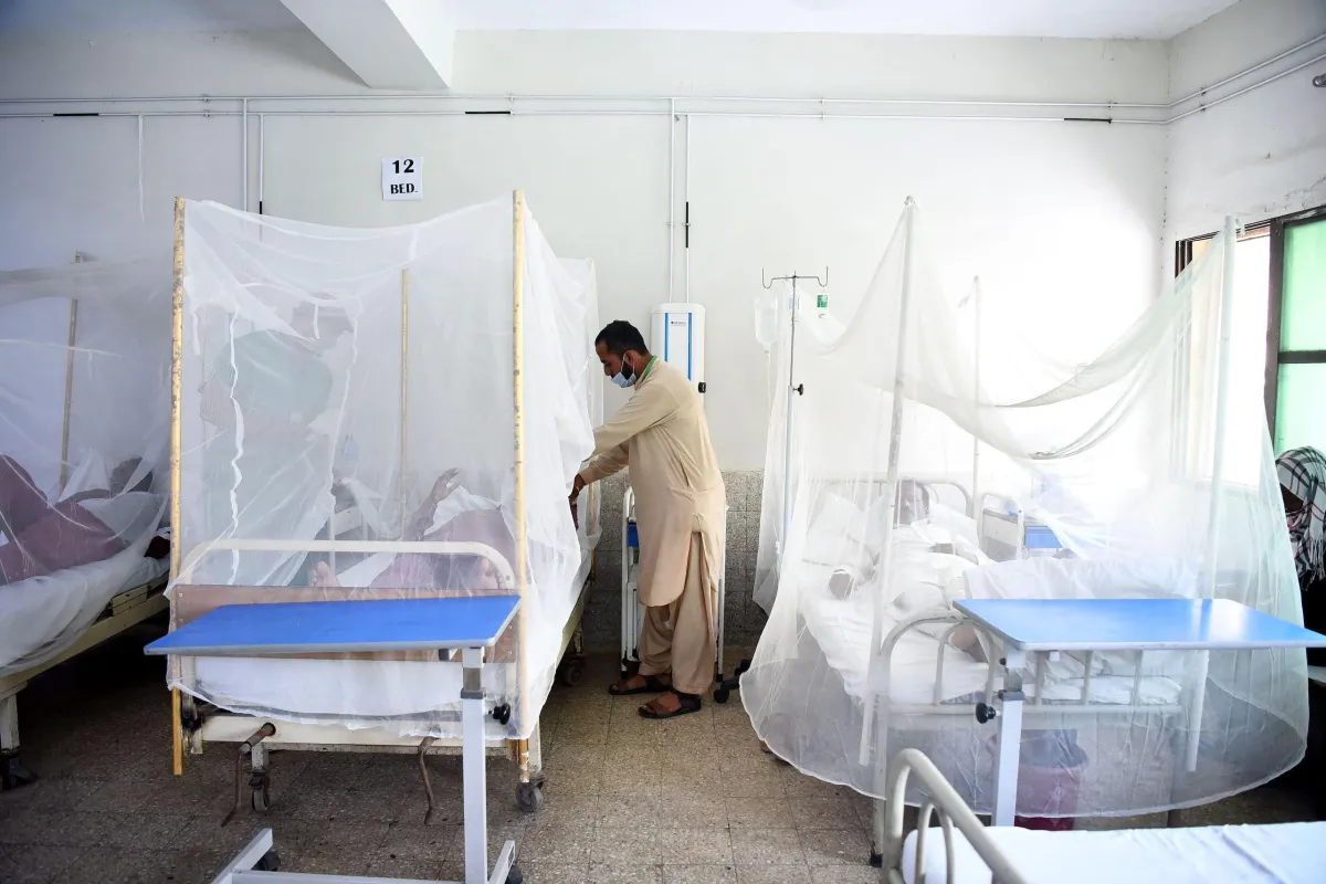 Dengue Cases Surge by 135% in Sindh This Year