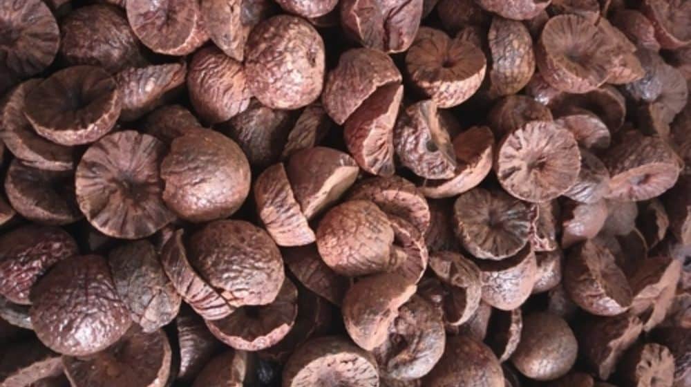 Customs Foils Attempt to Smuggle 4,000 Kg of Betel Nuts into Karachi