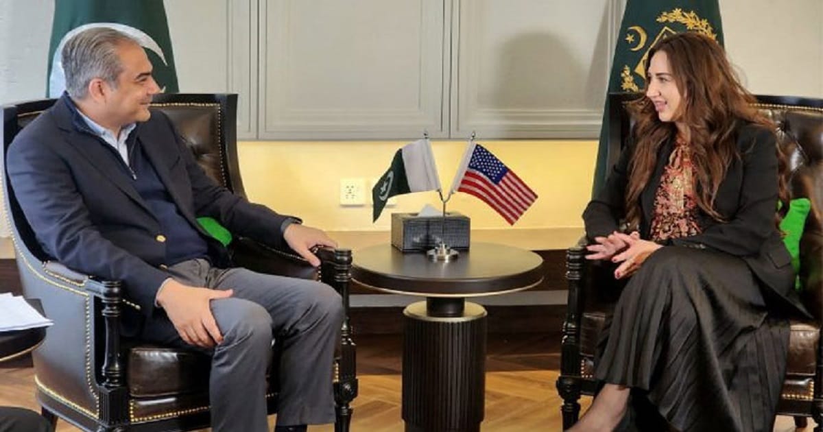 Naqvi, US envoy discuss strengthening ties, modernising law enforcement