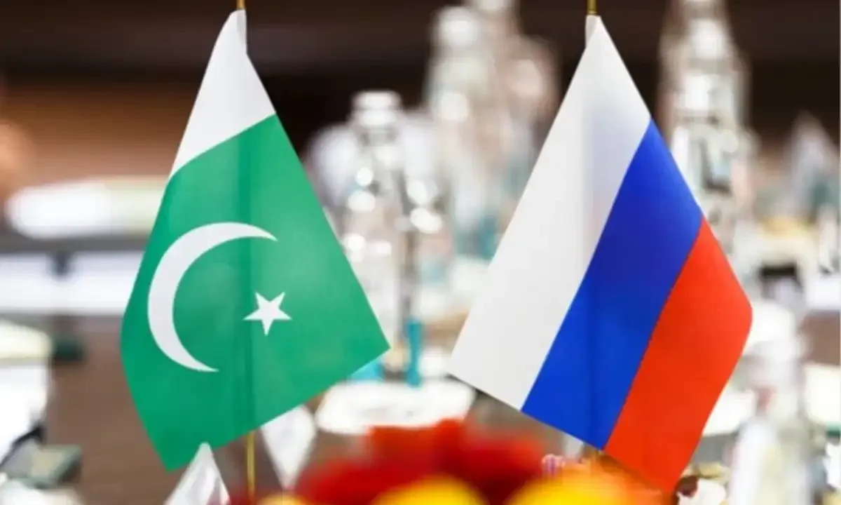 Pakistan, Russia sign 8 agreements to strengthen economic tiesPakistan's cuisine