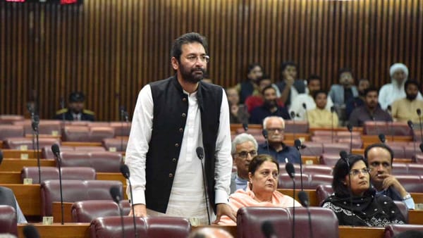 Senator Faisal Saleem becomes first Pakistani on IMF, World Bank boards