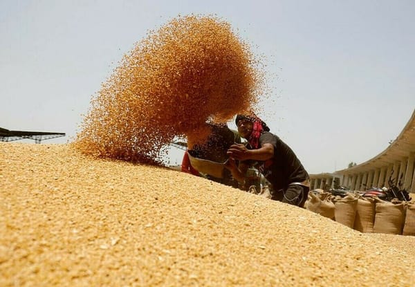 KPK taking lead launches wheat purchase campaign at Rs 3900