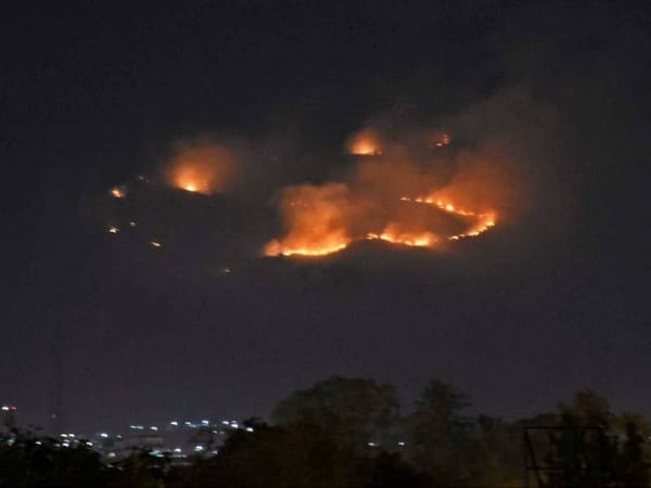 Fire engulfs Margalla Hills in Islamabad amidst intensifying heat-wave