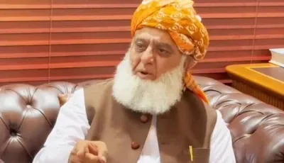 Maulana Fazlur Rehman criticizes use of force against political entities