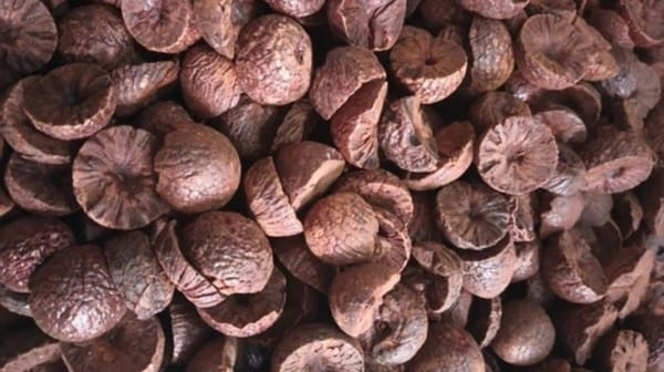 Customs Foils Attempt to Smuggle 4,000 Kg of Betel Nuts into Karachi