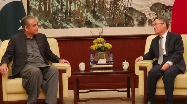 Pakistan agrees with China’s approach of linking development with security: Naqvi