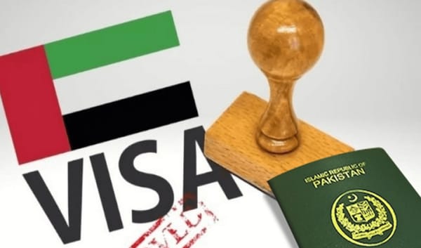 Police verification mandatory for UAE visas, Senate body told