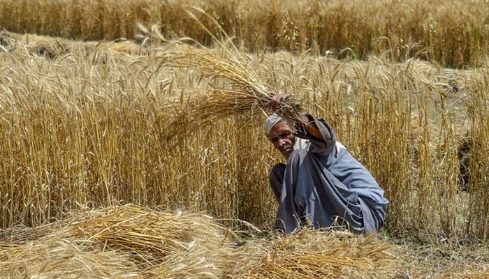 پاکستان تحریک انصاف کی مینڈیٹ چور حکومت کے ہاتھوں کسانوں کے معاشی قتلِ عام اور ذراعت کو ناقص پالیسیوں کی بھینٹ چڑھا کر تباہ کرنے کی