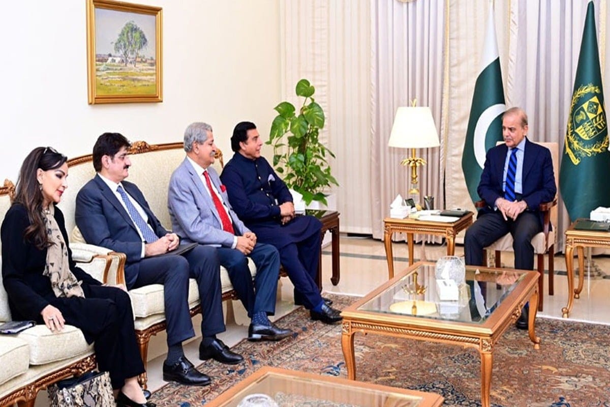 وزیراعظم سے پیپلز پارٹی کے وفد کی ملاقات کی اندرونی کہانی